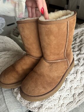 Chestnut Ugg Austrailia Classic Boots